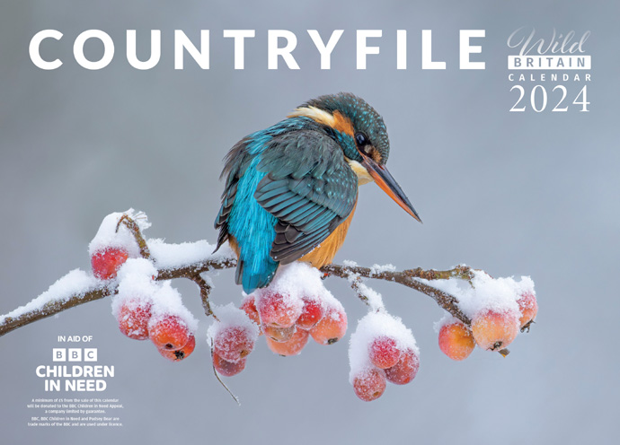 Countryfile Calendar 2024